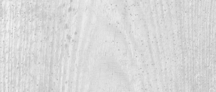 pexels-photo-11826860BW